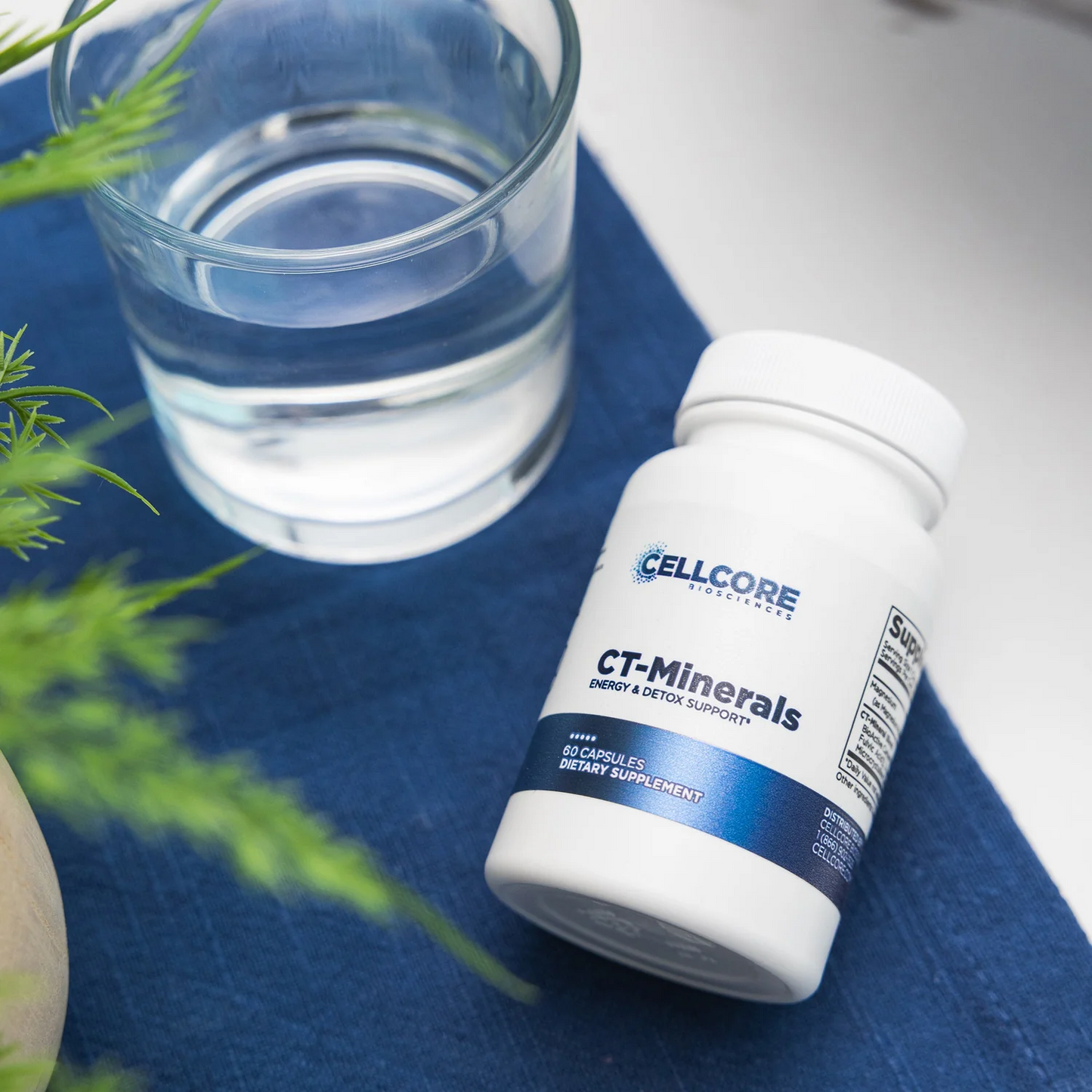 CellCore CT Minerals