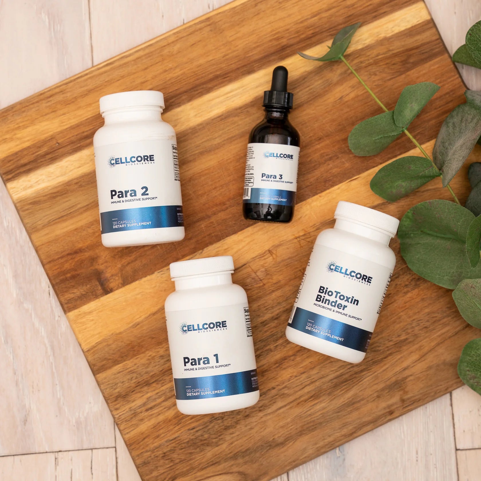 お中元 お歳暮 お年賀 夏 冬 年末年始のご挨拶 ギフト 通販な CellCore Para Kit – Shop Dr. Morris スタイリング剤