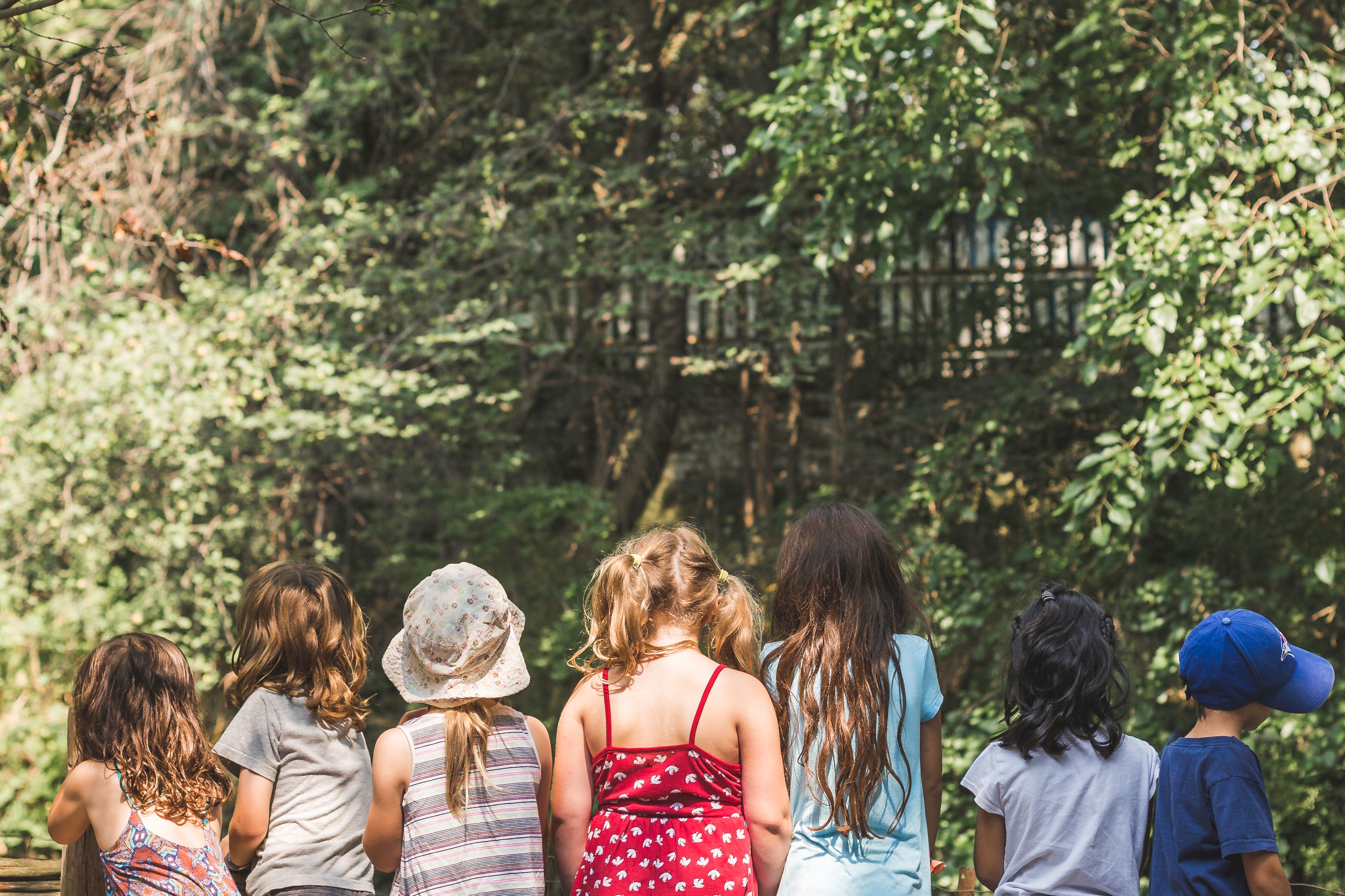 kids line up standing with their backs to camera outside in nature